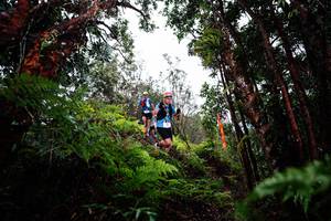 BIB: 
                            <button type="button" onclick="openModal(26201101)" class="btn btn-primary btn-sm float-right btn-popup" data-toggle="modal" data-target=".modal-high-quality">
                        <i class="fas fa-shopping-cart"></i> Add to Cart
                    </button>
                                            <button type="button" onclick="isThisMe(26201101, true)" class="btn btn-success btn-sm float-right btn-popup btn-isme hidden" data-toggle="tooltip" data-placement="bottom" title="นี่คือรูปของคุณใช่ไหม คลิกที่นี่เพื่อเอาเข้าอัลบั้ม">
                        <i class="fas fa-plus"></i> Add to album
                    </button>
                    <button type="button" onclick="isThisMe(26201101, false)" class="btn btn-warning btn-sm float-right btn-popup btn-isnotme hidden">
                        <i class="fas fa-ban"></i> Remove from album
                    </button>